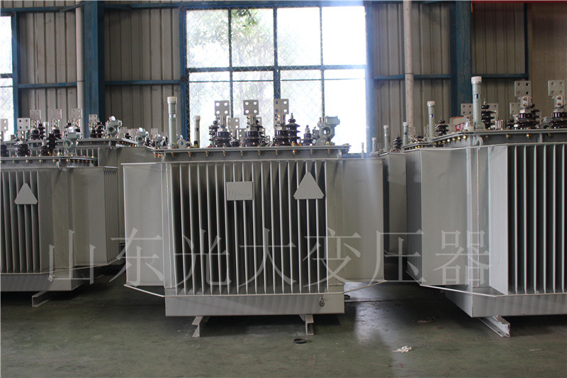 东河S20-500KVA/10KV